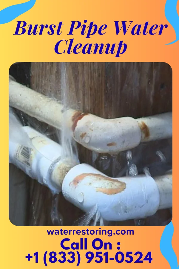 Burst Pipe Water Cleanup in Watauga, TX
