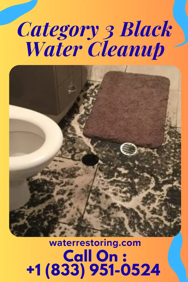 Category 3 Black Water Cleanup in Watauga, TX
