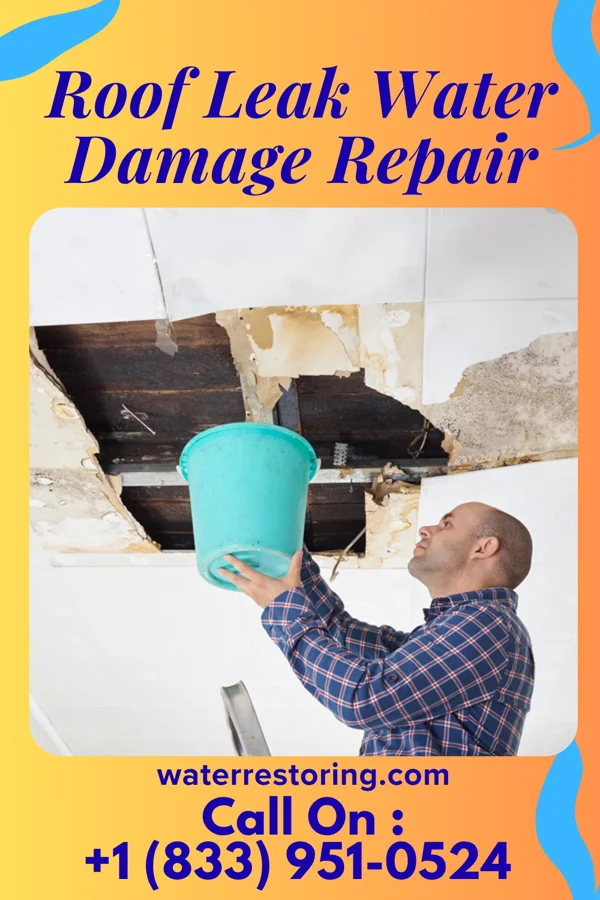 Roof Leak Water Damage Repair in Watauga, TX